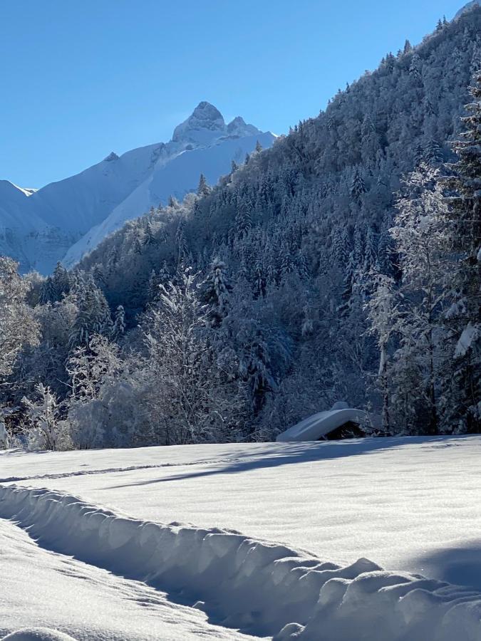 Landhaus Am Plattenbichl - Luxus Apartment Mit Privat-Pool Und Sauna - Im Sommer Bergbahn Inklusive Oberstdorf Eksteriør billede