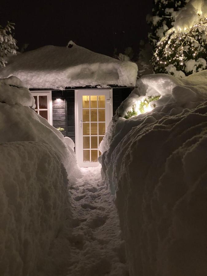 Landhaus Am Plattenbichl - Luxus Apartment Mit Privat-Pool Und Sauna - Im Sommer Bergbahn Inklusive Oberstdorf Eksteriør billede