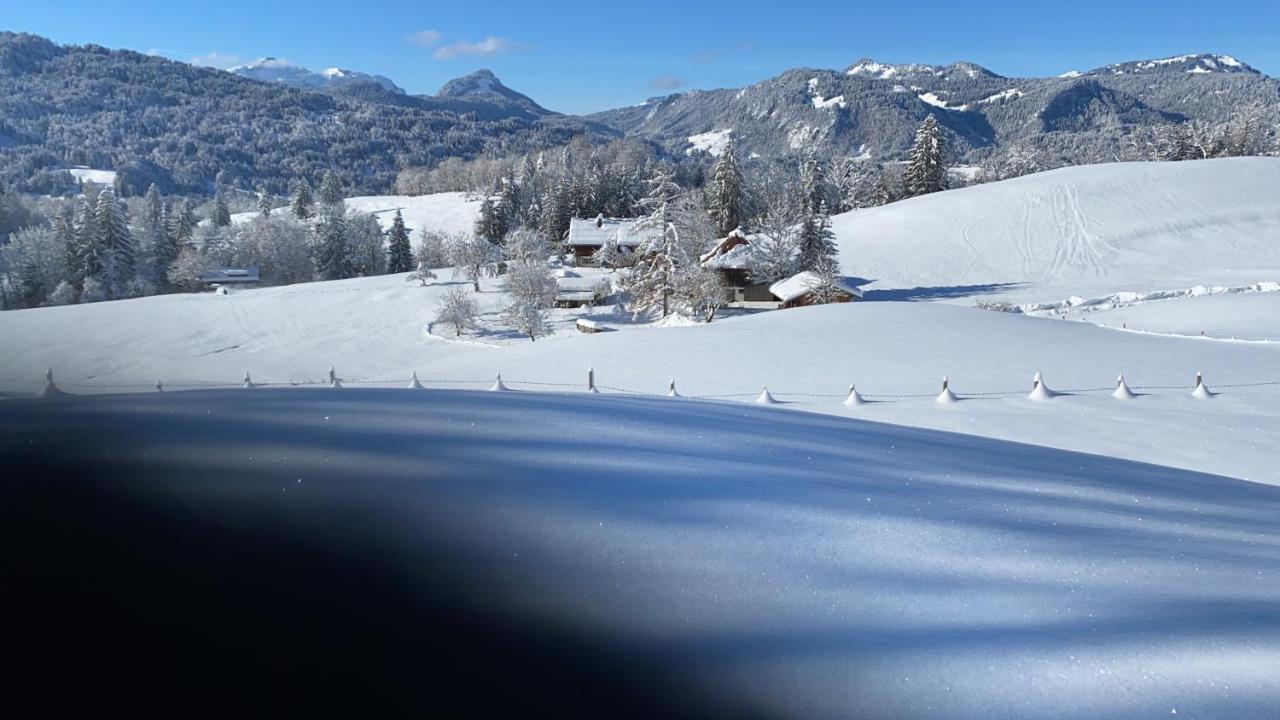 Landhaus Am Plattenbichl - Luxus Apartment Mit Privat-Pool Und Sauna - Im Sommer Bergbahn Inklusive Oberstdorf Eksteriør billede