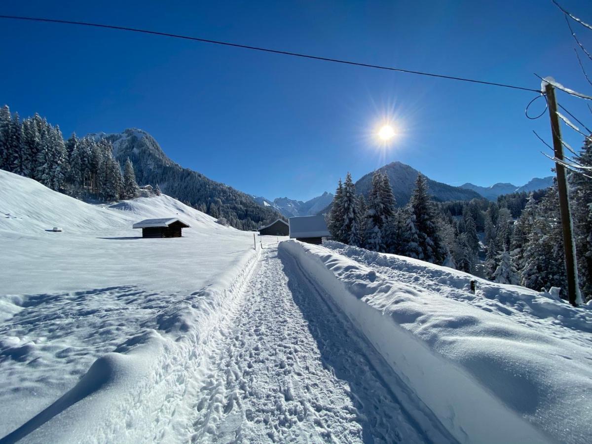 Landhaus Am Plattenbichl - Luxus Apartment Mit Privat-Pool Und Sauna - Im Sommer Bergbahn Inklusive Oberstdorf Eksteriør billede