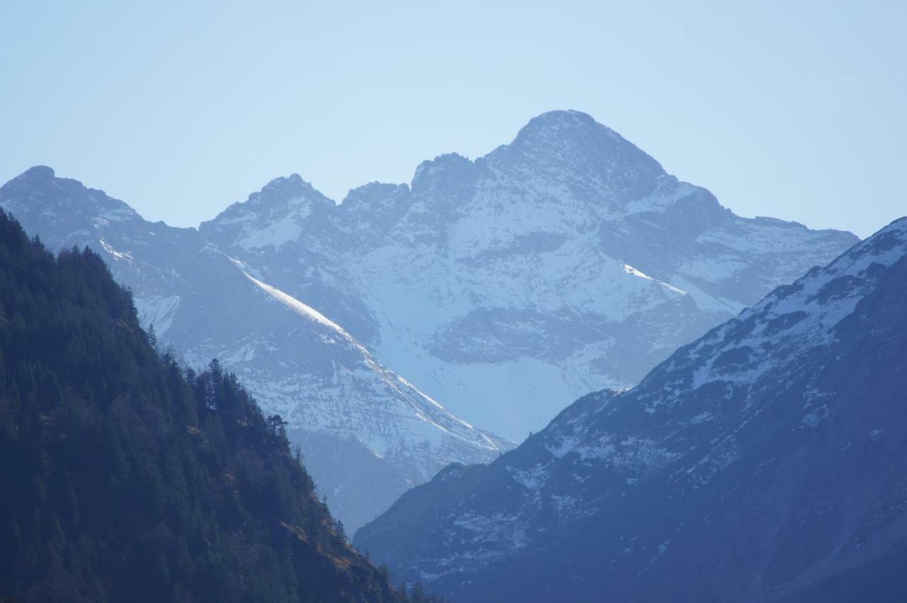 Landhaus Am Plattenbichl - Luxus Apartment Mit Privat-Pool Und Sauna - Im Sommer Bergbahn Inklusive Oberstdorf Eksteriør billede